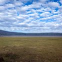 TZA ARU Ngorongoro 2016DEC26 Crater 017 : 2016, 2016 - African Adventures, Africa, Arusha, Crater, Date, December, Eastern, Mandusi Hippo Pool, Month, Ngorongoro, Places, Tanzania, Trips, Year